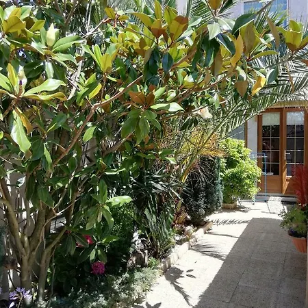 Galith's House